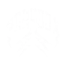 Paradox Clothing Logo